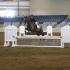 MTSU Hosts IHSA Hunt Seat Show